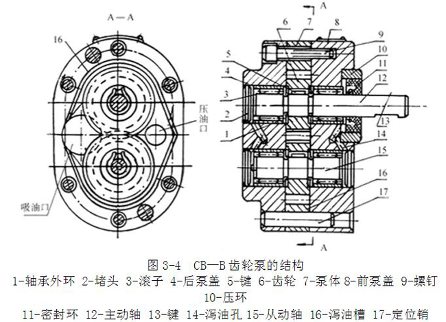 齒輪泵結(jié)構(gòu)圖